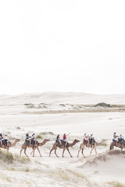 Following the Path of the Righteous